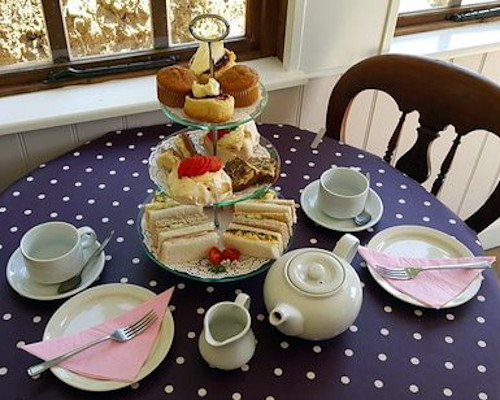 Penrallt Garden Centre