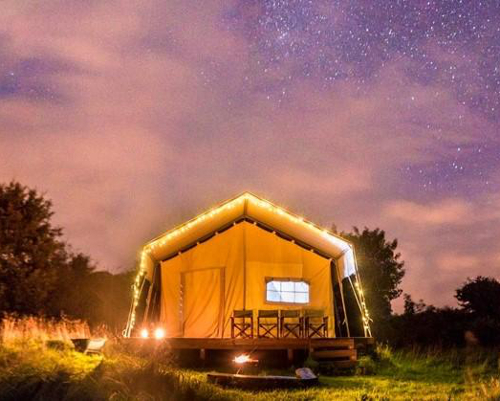 Top of the Woods Glamping